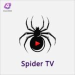 اشتراك سبايدر تي في الأصلي الكويت - Spider TV